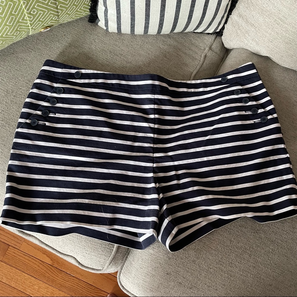 The Limited Shorts